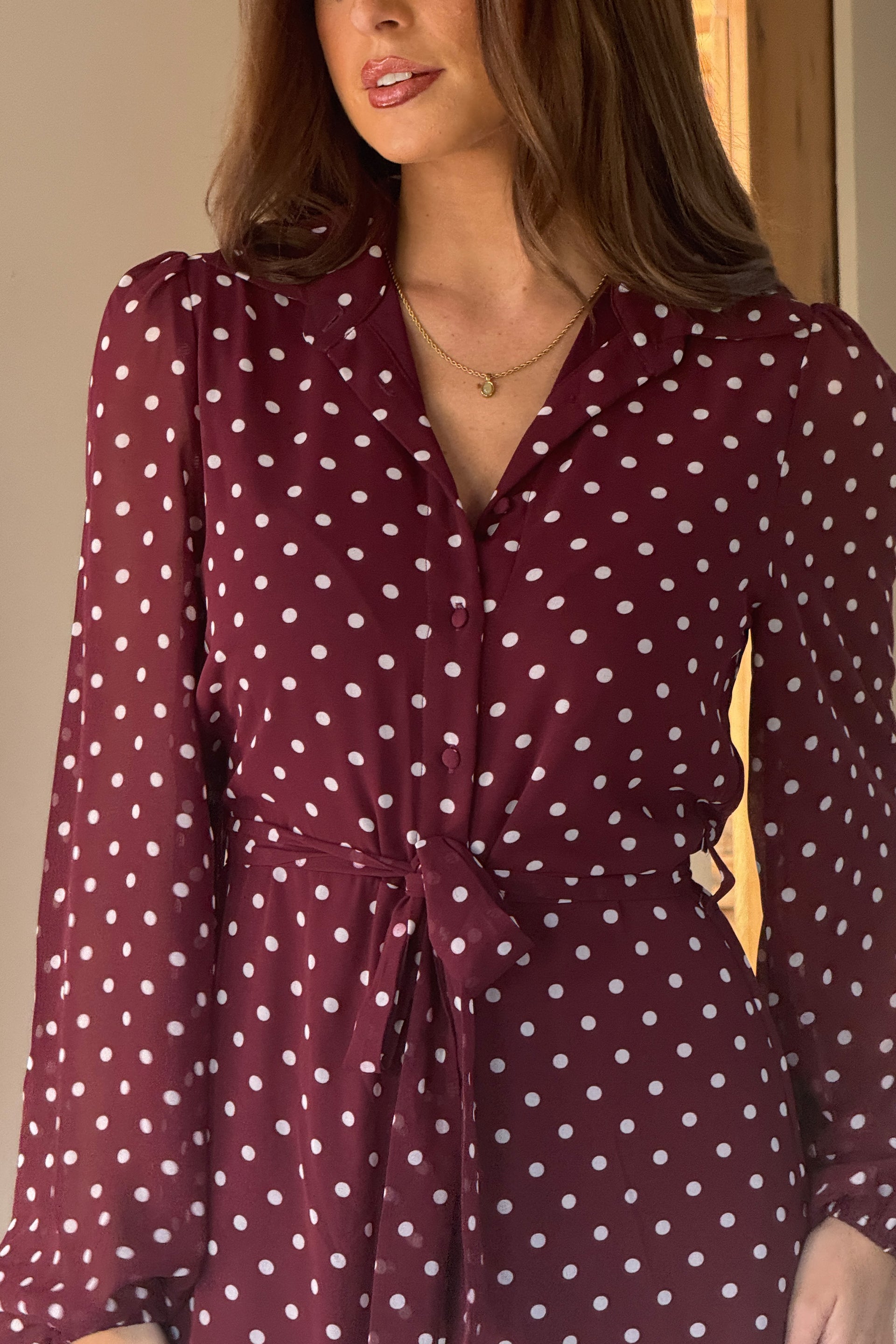 Kaya Berry Spot Print Midi Shirt Dress