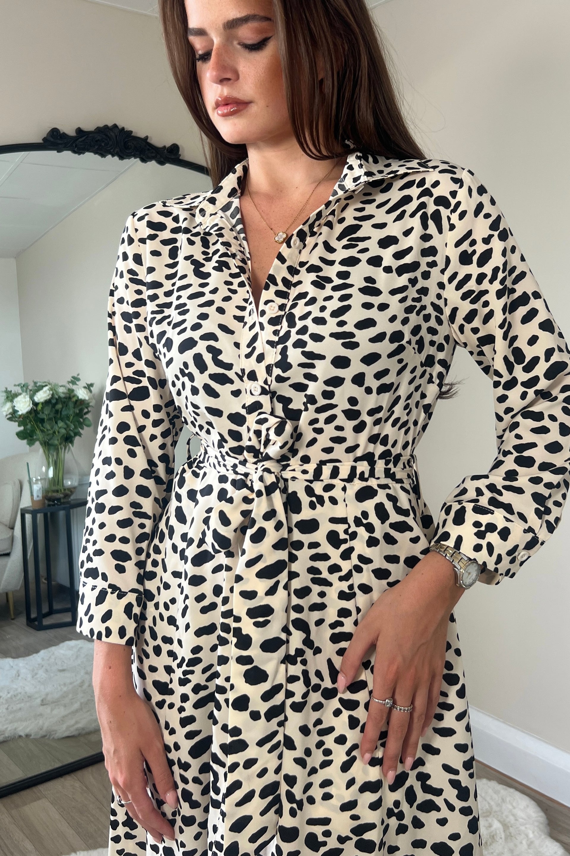 Animal Print Maxi Shirt Dress Brown Animal Print Shirt Dress Animal Print Maxi Shirt Dress Brown Animal Print Shirt Dress