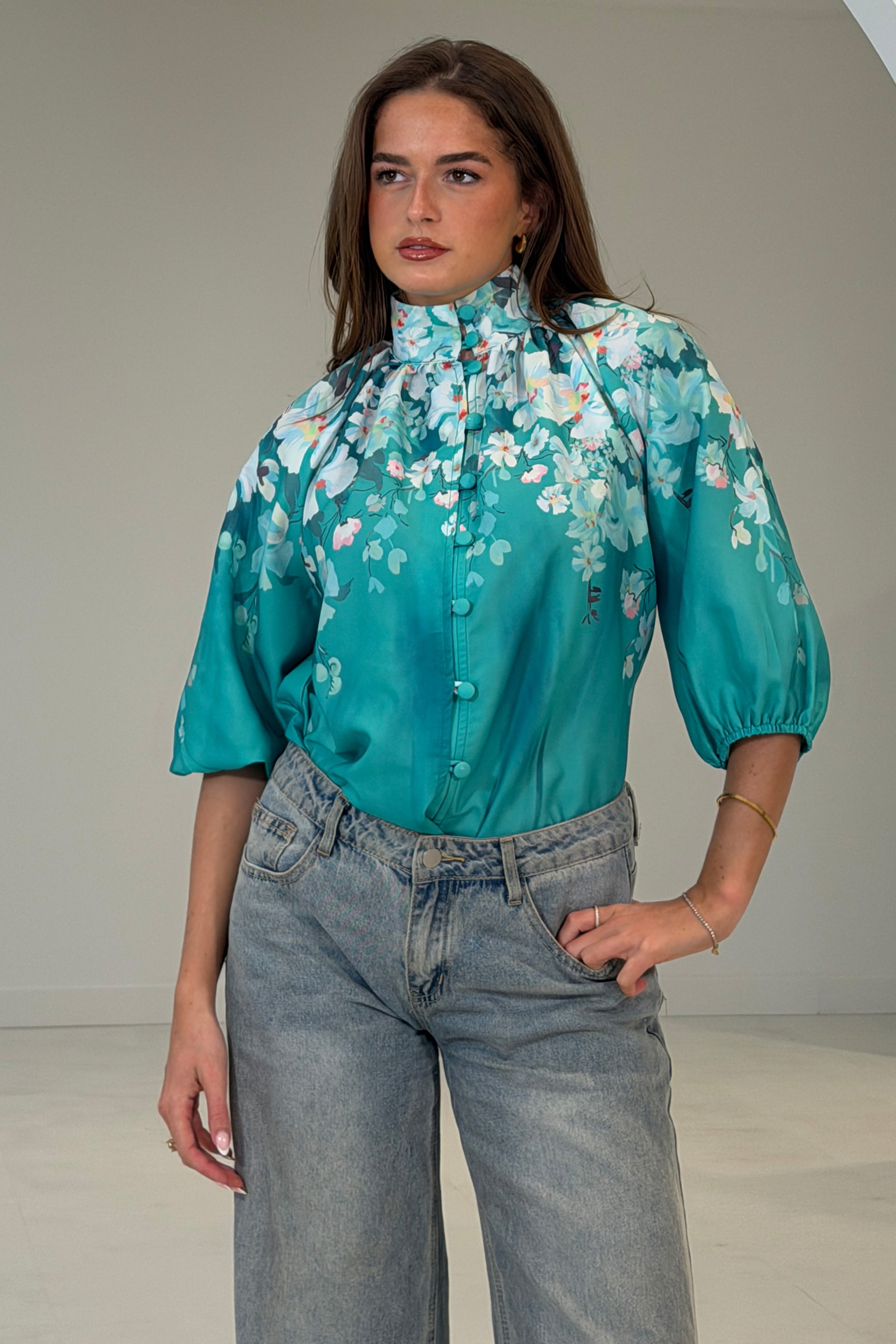 Tracey Balloon Sleeve High Neck Blouse
