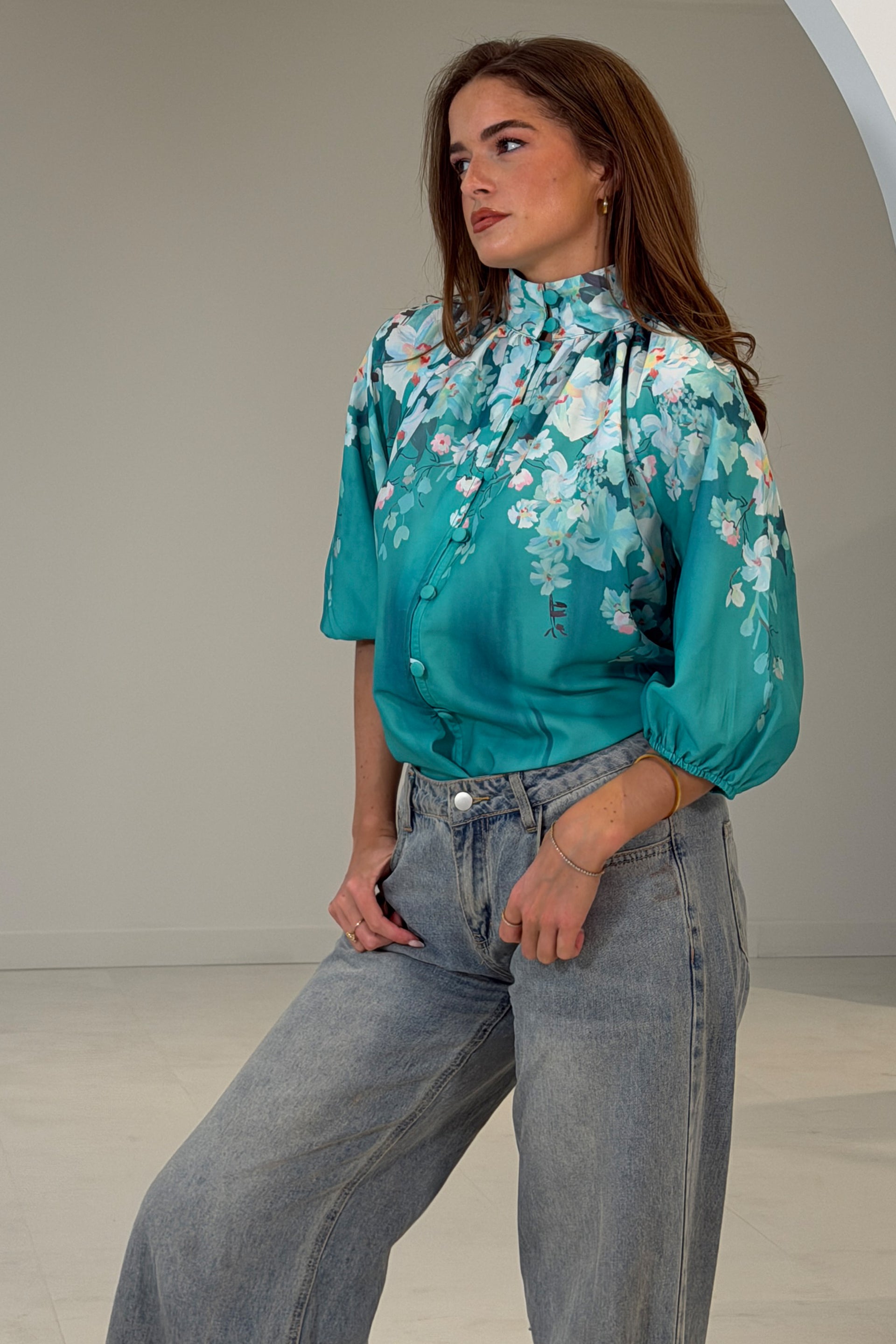 Tracey Balloon Sleeve High Neck Blouse