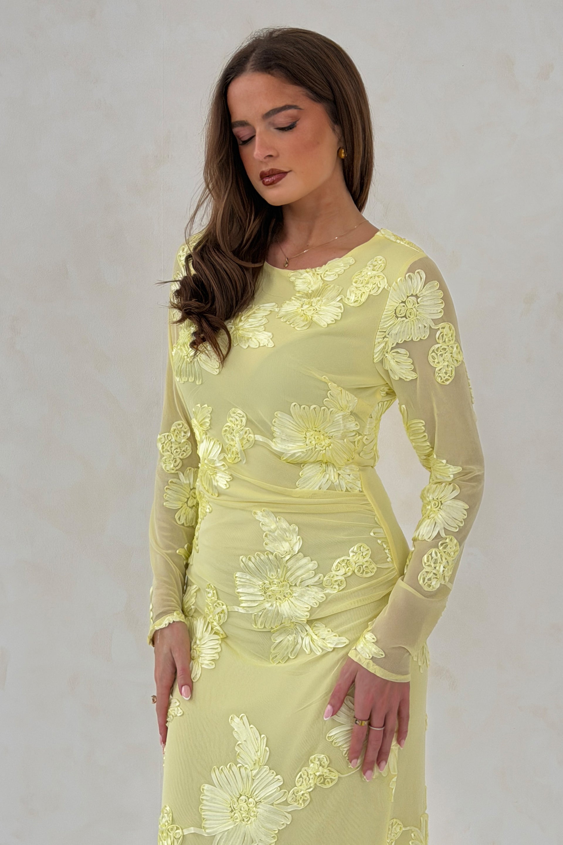 Elodie Floral Embroidered Mesh Bodycon Midi Dress Yellow