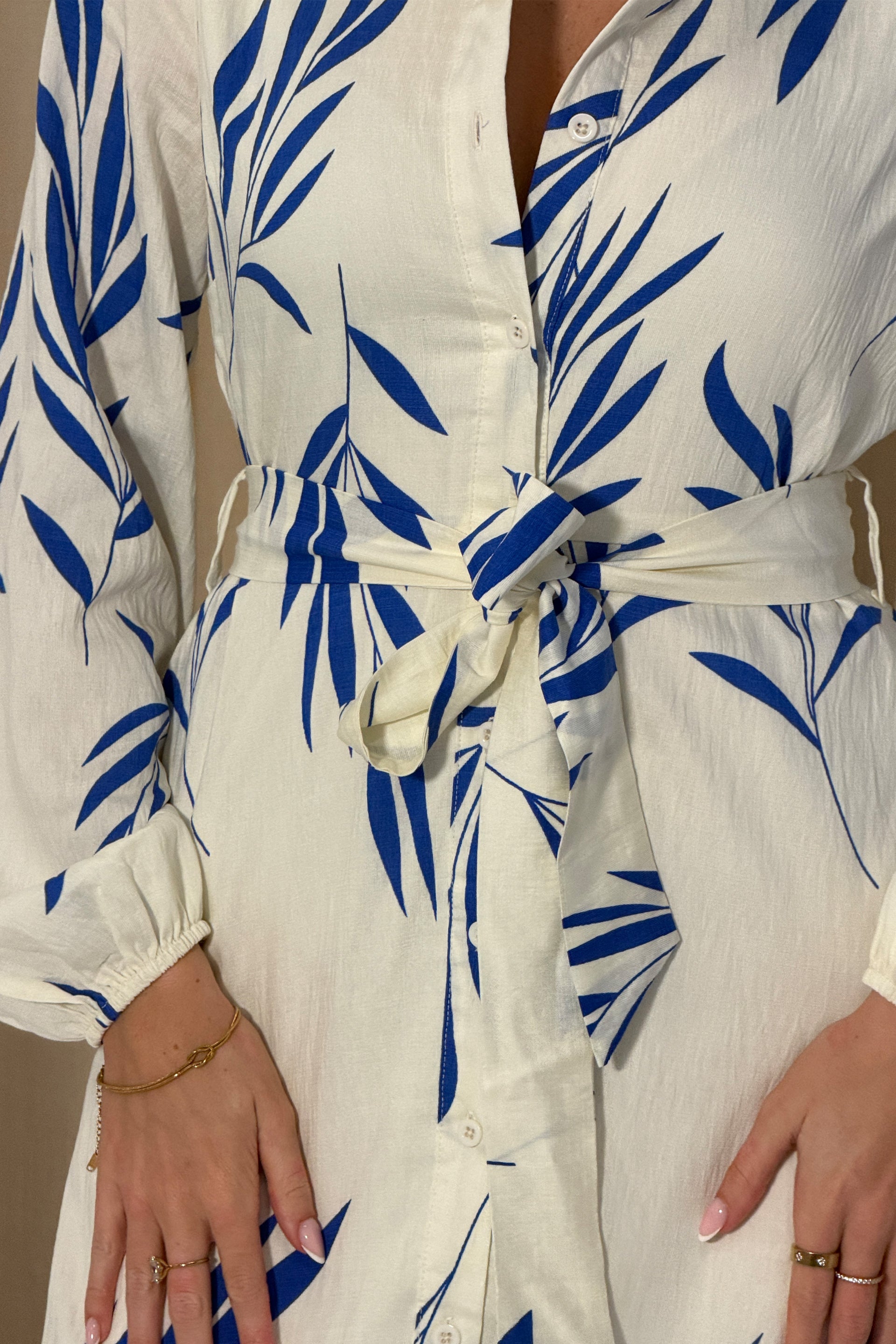 Marion Boarder Print Shirt Dress Blue